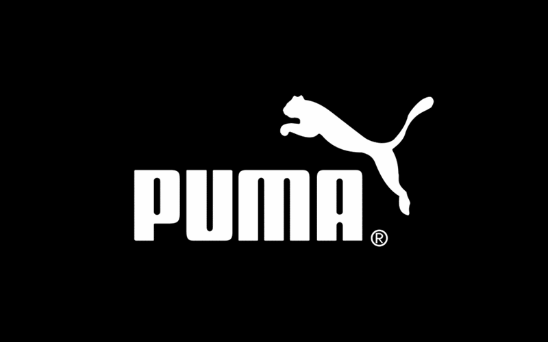 Puma -Fast Spor